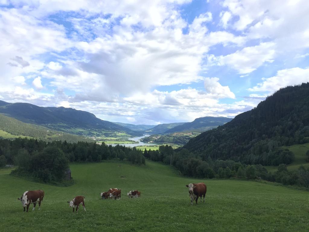 Kvitfjell Ranch Villa Екстериор снимка